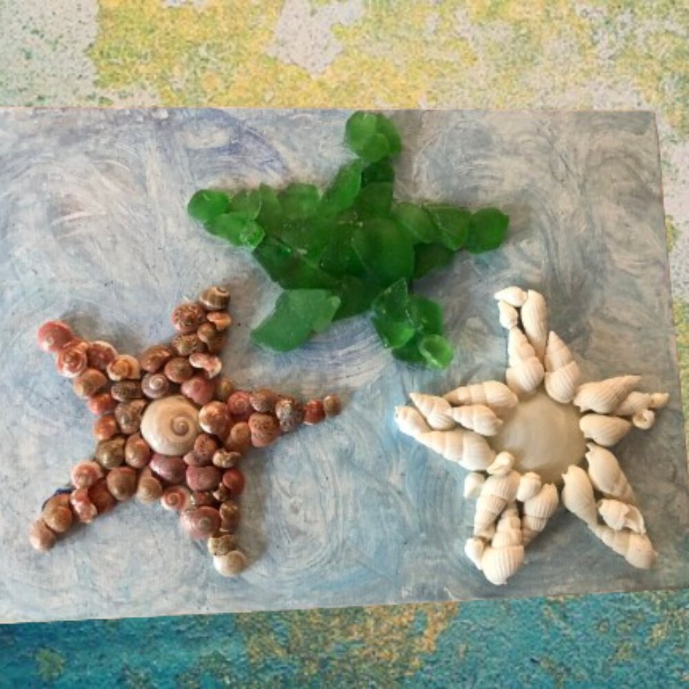 Starfish by the Seashore